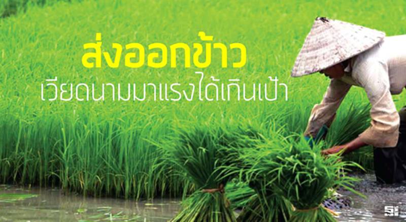 ส่งออกข้าวเวียดนามมาแรงได้เกินเป้า ส่งออกข้าวเวียดนามมาแรงได้เกินเป้า