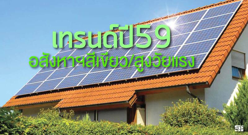 เทรนด์ปี59อสังหาฯสีเขียว/สูงวัยแรง ผู้ประกอบการปรับตัวดึงลูกค้า เทรนด์ปี59อสังหาฯสีเขียว/สูงวัยแรง ผู้ประกอบการปรับตัวดึงลูกค้า