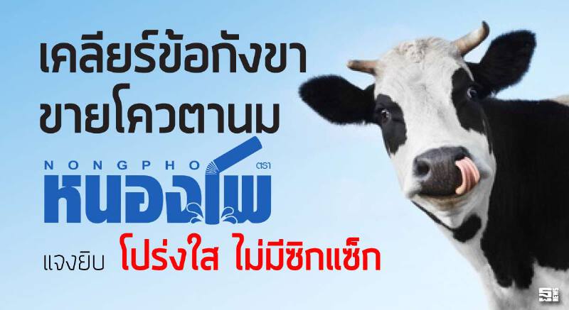 เคลียร์ข้อกังขาขายโควตานม หนองโพ แจงยิบ ‘โปร่งใส ไม่มีซิกแซ็ก’