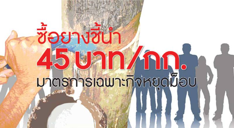 ซื้อยางชี้นำ 45 บาท/กก. มาตรการเฉพาะกิจหยุดม็อบ ซื้อยางชี้นำ 45 บาท/กก. มาตรการเฉพาะกิจหยุดม็อบ