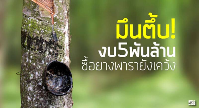 มึนตึ้บ!งบ5พันล้านซื้อยางพารายังเคว้ง มึนตึ้บ!งบ5พันล้านซื้อยางพารายังเคว้ง