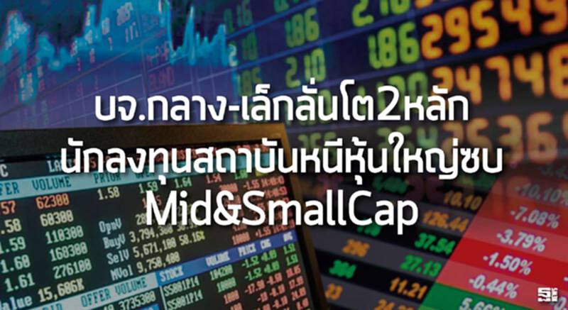 บจ.กลาง-เล็กลั่นโต2หลัก นักลงทุนสถาบันหนีหุ้นใหญ่ซบ Mid&SmallCap บจ.กลาง-เล็กลั่นโต2หลัก นักลงทุนสถาบันหนีหุ้นใหญ่ซบ Mid&SmallCap