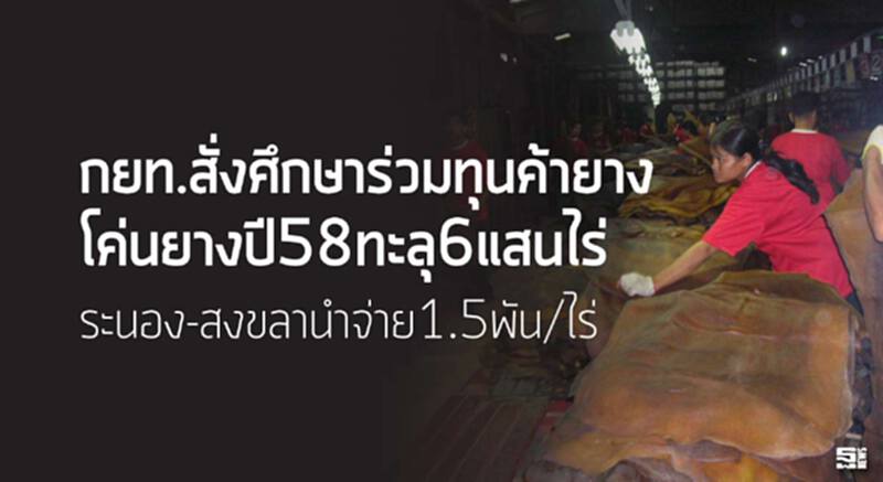 กยท.สั่งศึกษาร่วมทุนค้ายาง โค่นยางปี58ทะลุ6แสนไร่/ระนอง-สงขลานำจ่าย1.5พัน/ไร่ กยท.สั่งศึกษาร่วมทุนค้ายาง โค่นยางปี58ทะลุ6แสนไร่/ระนอง-สงขลานำจ่าย1.5พัน/ไร่