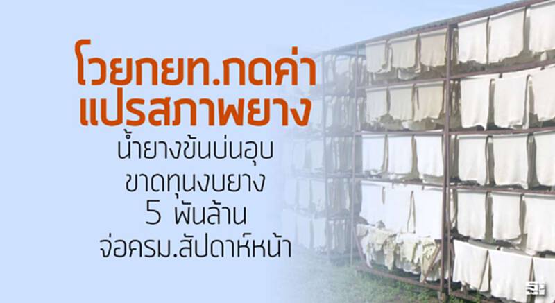 โวยกยท.กดค่าแปรสภาพยาง นํ้ายางข้นบ่นอุบขาดทุน/งบยาง 5 พันล้านจ่อครม.สัปดาห์หน้า โวยกยท.กดค่าแปรสภาพยาง นํ้ายางข้นบ่นอุบขาดทุน/งบยาง 5 พันล้านจ่อครม.สัปดาห์หน้า