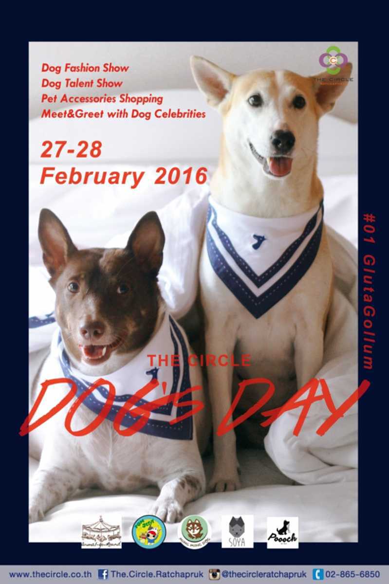 พบเน็ทไอดอลสี่ขาชื่อดัง ในงาน Dog’s Day ที่เดอะ เซอร์เคิล ราชพฤกษ์ พบเน็ทไอดอลสี่ขาชื่อดัง ในงาน Dog’s Day ที่เดอะ เซอร์เคิล ราชพฤกษ์