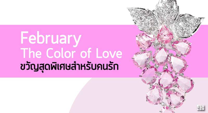 February The Color of Love ขวัญสุดพิเศษสำหรับคนรัก February The Color of Love ขวัญสุดพิเศษสำหรับคนรัก