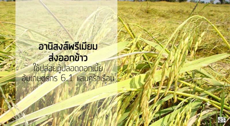อานิสงส์พรีเมียมส่งออกข้าว ใช้ปล่อยกู้ปลอดดอกเบี้ย/อุ้มเกษตรกร 6.1 แสนครัวเรือน อานิสงส์พรีเมียมส่งออกข้าว ใช้ปล่อยกู้ปลอดดอกเบี้ย/อุ้มเกษตรกร 6.1 แสนครัวเรือน