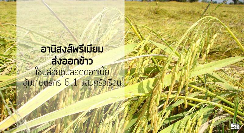 อานิสงส์พรีเมียมส่งออกข้าว ใช้ปล่อยกู้ปลอดดอกเบี้ย/อุ้มเกษตรกร 6.1 แสนครัวเรือน