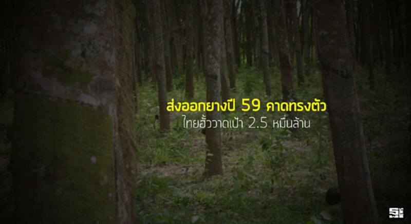 ส่งออกยางปี 59 คาดทรงตัว ไทยฮั้ววาดเป้า 2.5 หมื่นล้าน ส่งออกยางปี 59 คาดทรงตัว ไทยฮั้ววาดเป้า 2.5 หมื่นล้าน