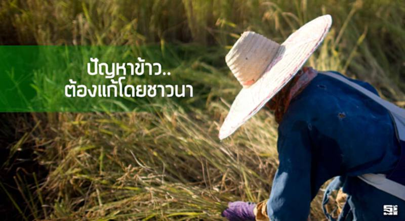 ปัญหาข้าว..ต้องแก้โดยชาวนา ปัญหาข้าว..ต้องแก้โดยชาวนา
