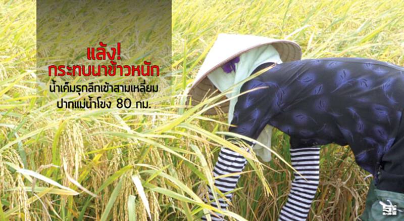 แล้งกระทบนาข้าวหนัก น้ำเค็มรุกลึกเข้าสามเหลี่ยมปากแม่น้ำโขง 80 กม. แล้งกระทบนาข้าวหนัก น้ำเค็มรุกลึกเข้าสามเหลี่ยมปากแม่น้ำโขง 80 กม.