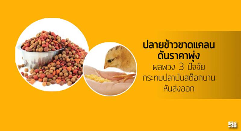 ปลายข้าวขาดแคลนดันราคาพุ่ง ผลพวง 3 ปัจจัย/กระทบปลาป่นสต๊อกบานหันส่งออก ปลายข้าวขาดแคลนดันราคาพุ่ง ผลพวง 3 ปัจจัย/กระทบปลาป่นสต๊อกบานหันส่งออก