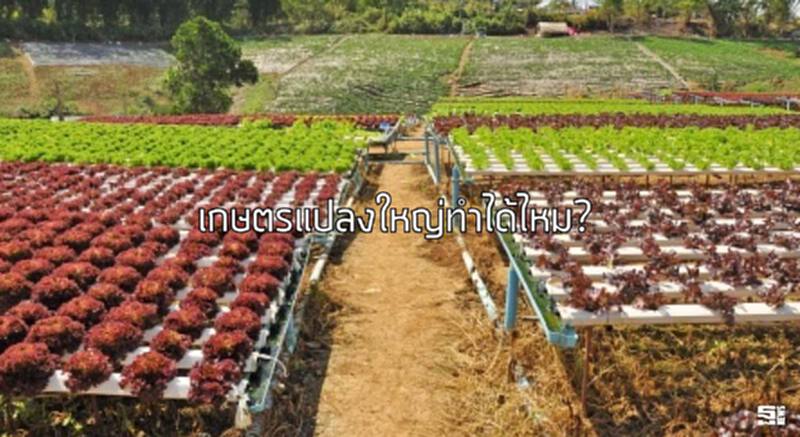 เกษตรแปลงใหญ่ทำได้ไหม? เกษตรแปลงใหญ่ทำได้ไหม?