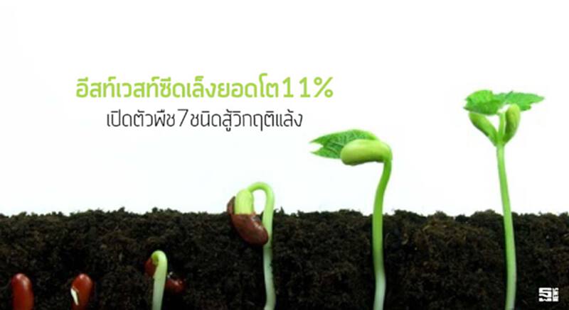 อีสท์เวสท์ซีดเล็งยอดโต11% เปิดตัวพืช7ชนิดสู้วิกฤติแล้ง อีสท์เวสท์ซีดเล็งยอดโต11% เปิดตัวพืช7ชนิดสู้วิกฤติแล้ง