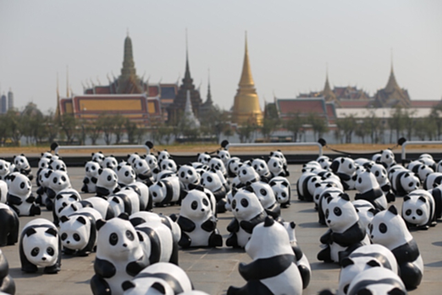 กองทัพแพนด้าน้อยกว่า 1,600 ตัว “สวัสดีชาวไทย!” เป็นครั้งแรก กองทัพแพนด้าน้อยกว่า 1,600 ตัว “สวัสดีชาวไทย!” เป็นครั้งแรก