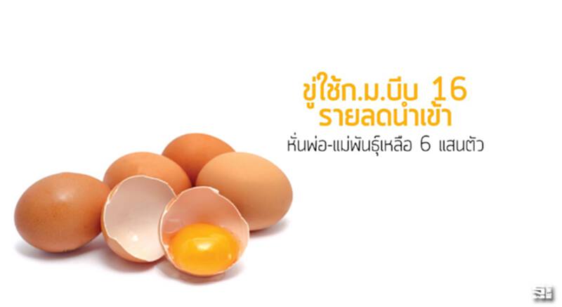 ขู่ใช้ก.ม.บีบ 16 รายลดนำเข้า หั่นพ่อ-แม่พันธุ์เหลือ 6 แสนตัว/เศรษฐกิจแย่คนกินไข่เพิ่ม ขู่ใช้ก.ม.บีบ 16 รายลดนำเข้า หั่นพ่อ-แม่พันธุ์เหลือ 6 แสนตัว/เศรษฐกิจแย่คนกินไข่เพิ่ม