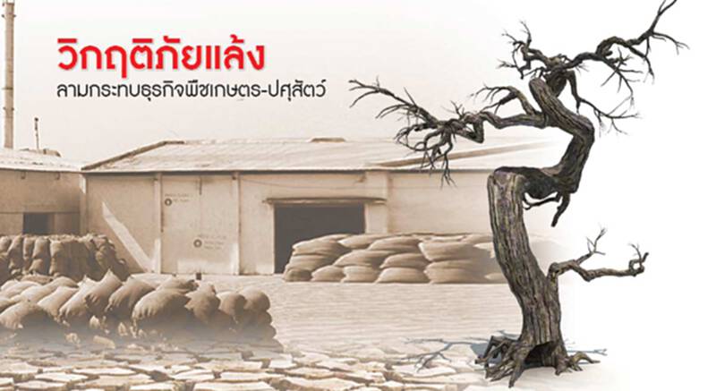 100โรงงานแป้งมันจ่อหยุด แล้งสาหัสลามอุตฯเกษตร ลุ้นปลายเมษาฝนตก 100โรงงานแป้งมันจ่อหยุด แล้งสาหัสลามอุตฯเกษตร ลุ้นปลายเมษาฝนตก