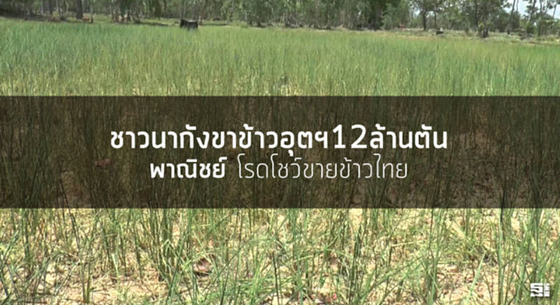 ชาวนากังขาข้าวอุตฯ12ล้านตัน ‘พาณิชย์’ โรดโชว์ขายข้าวไทย ชาวนากังขาข้าวอุตฯ12ล้านตัน ‘พาณิชย์’ โรดโชว์ขายข้าวไทย