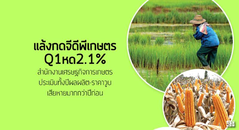 แล้งกดจีดีพีเกษตรQ1หด2.1% สำนักงานเศรษฐกิจการเกษตรประเมินทั้งปีผลผลิต-ราคาวูบเสียหายมากกว่าปีก่อน แล้งกดจีดีพีเกษตรQ1หด2.1% สำนักงานเศรษฐกิจการเกษตรประเมินทั้งปีผลผลิต-ราคาวูบเสียหายมากกว่าปีก่อน