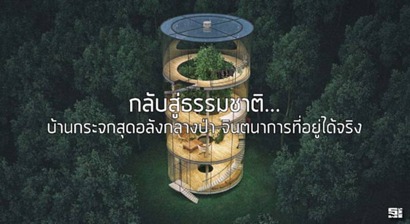 กลับสู่ธรรมชาติ...บ้านกระจกสุดอลังกลางป่า จินตนาการที่อยู่ได้จริง กลับสู่ธรรมชาติ...บ้านกระจกสุดอลังกลางป่า จินตนาการที่อยู่ได้จริง