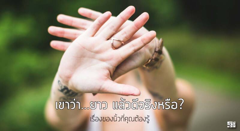 เขาว่า... ยาวแล้วดีจริงหรือ? เรื่องของนิ้วที่คุณต้องรู้ เขาว่า... ยาวแล้วดีจริงหรือ? เรื่องของนิ้วที่คุณต้องรู้