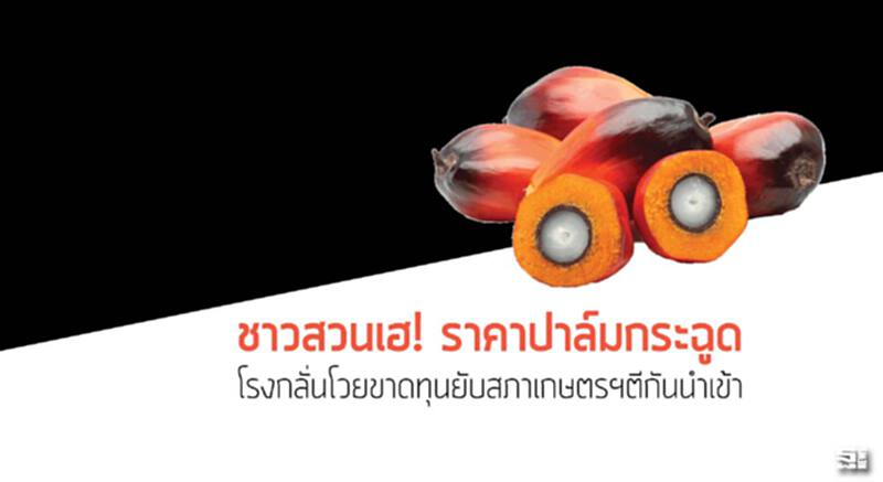 ชาวสวนเฮ!ราคาปาล์มกระฉูด โรงกลั่นโวยขาดทุนยับ / สภาเกษตรฯตีกันนำเข้า ชาวสวนเฮ!ราคาปาล์มกระฉูด โรงกลั่นโวยขาดทุนยับ / สภาเกษตรฯตีกันนำเข้า