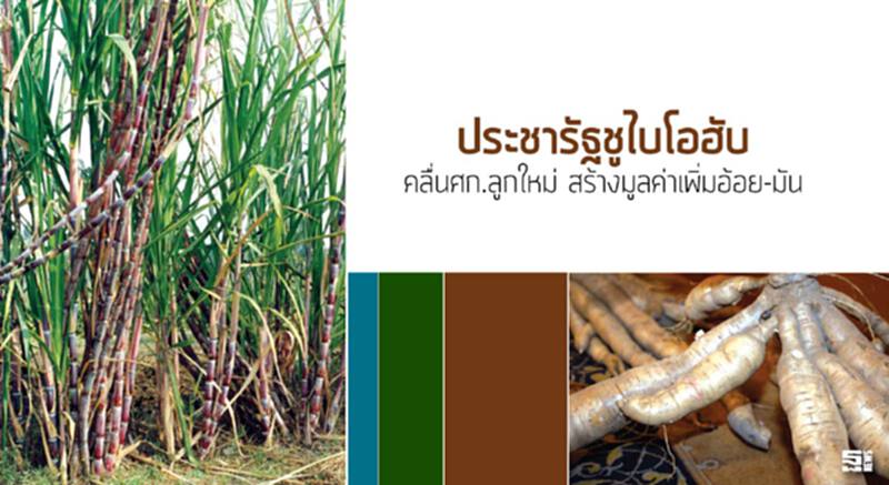ประชารัฐชูไบโอฮับ คลื่นศก.ลูกใหม่ สร้างมูลค่าเพิ่มอ้อย-มัน ประชารัฐชูไบโอฮับ คลื่นศก.ลูกใหม่ สร้างมูลค่าเพิ่มอ้อย-มัน