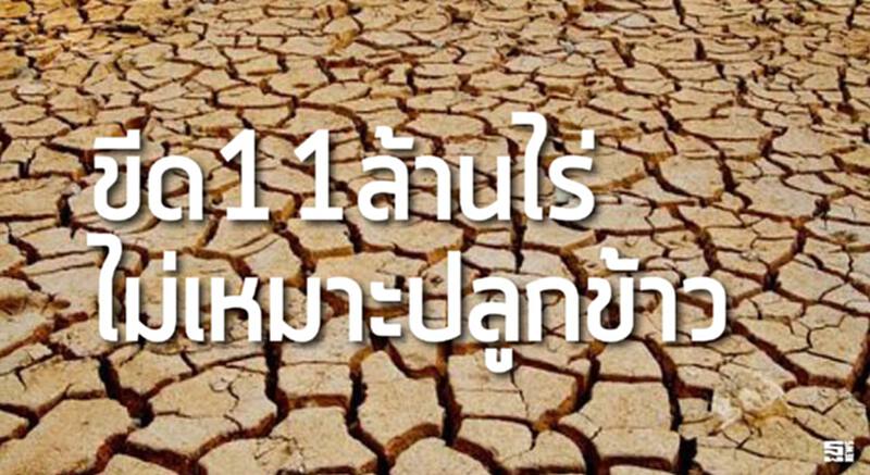 ขีด11ล้านไร่ไม่เหมาะปลูกข้าว 2 สมาคมดิ้นช่วยสมาชิก / รุกนํ้าดื่ม-ชงช่วย 3 เรื่อง ขีด11ล้านไร่ไม่เหมาะปลูกข้าว 2 สมาคมดิ้นช่วยสมาชิก / รุกนํ้าดื่ม-ชงช่วย 3 เรื่อง