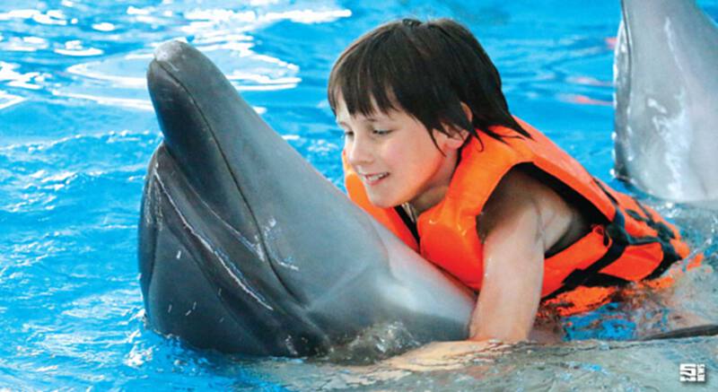 DOLPHINS BAY PHUKET โลมา โชว์ มาตรฐานโลก DOLPHINS BAY PHUKET โลมา โชว์ มาตรฐานโลก