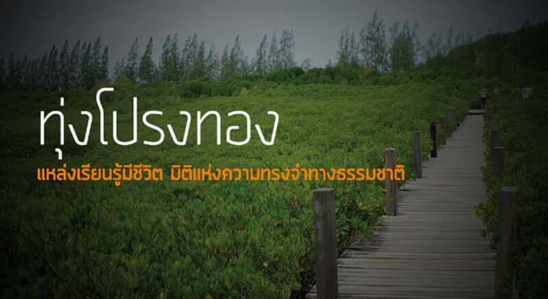 ทุ่งโปรงทอง แหล่งเรียนรู้มีชีวิต มิติแห่งความทรงจำทางธรรมชาติ ทุ่งโปรงทอง แหล่งเรียนรู้มีชีวิต มิติแห่งความทรงจำทางธรรมชาติ