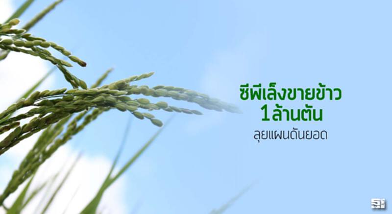 ซีพีเล็งขายข้าว1ล้านตัน-ลุยแผนดันยอด ซีพีเล็งขายข้าว1ล้านตัน-ลุยแผนดันยอด