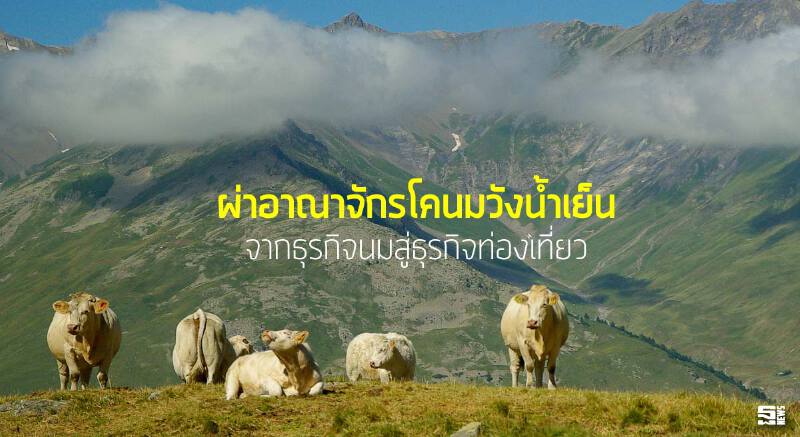 ผ่าอาณาจักรโคนมวังนํ้าเย็น จากธุรกิจนมสู่ธุรกิจท่องเที่ยว ผ่าอาณาจักรโคนมวังนํ้าเย็น จากธุรกิจนมสู่ธุรกิจท่องเที่ยว