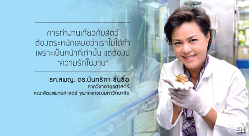 รศ.สพ.ญ.ดร.นันทริกา ชันซื่อ : พลังแห่งการรักษา เกิดขึ้นได้ด้วย “พลังใจ” รศ.สพ.ญ.ดร.นันทริกา ชันซื่อ : พลังแห่งการรักษา เกิดขึ้นได้ด้วย “พลังใจ”
