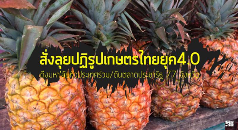 สั่งลุยปฏิรูปเกษตรไทยยุค4.0 ดึงมหา’ลัยทั่วประเทศร่วม/ดันตลาดประชารัฐ 77 จังหวัด สั่งลุยปฏิรูปเกษตรไทยยุค4.0 ดึงมหา’ลัยทั่วประเทศร่วม/ดันตลาดประชารัฐ 77 จังหวัด