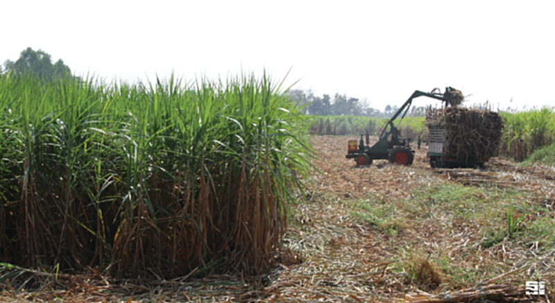 รัฐมั่นใจบราซิลถอนฟ้องWTO ชี้ไทยมีแผนปรับโครงสร้างอ้อย/นํ้าตาลทรายชัดเจน รัฐมั่นใจบราซิลถอนฟ้องWTO ชี้ไทยมีแผนปรับโครงสร้างอ้อย/นํ้าตาลทรายชัดเจน