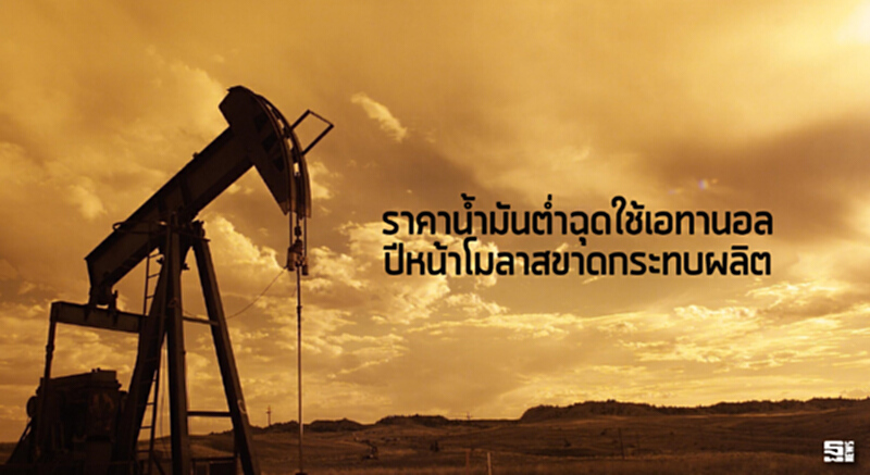ราคาน้ำมันต่ำฉุดใช้เอทานอล ปีหน้าโมลาสขาดกระทบผลิต ราคาน้ำมันต่ำฉุดใช้เอทานอล ปีหน้าโมลาสขาดกระทบผลิต