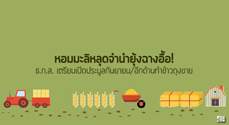 หอมมะลิหลุดจำนำยุ้งฉางอื้อ! ธ.ก.ส.เตรียมเปิดประมูลกันยายน/อีกด้านทำข้าวถุงขาย หอมมะลิหลุดจำนำยุ้งฉางอื้อ! ธ.ก.ส.เตรียมเปิดประมูลกันยายน/อีกด้านทำข้าวถุงขาย