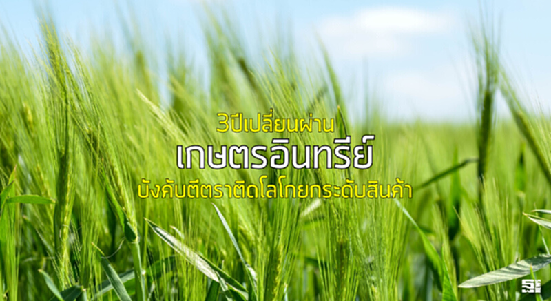 3ปีเปลี่ยนผ่าน‘เกษตรอินทรีย์’ บังคับตีตราติดโลโกยกระดับสินค้า 3ปีเปลี่ยนผ่าน‘เกษตรอินทรีย์’ บังคับตีตราติดโลโกยกระดับสินค้า