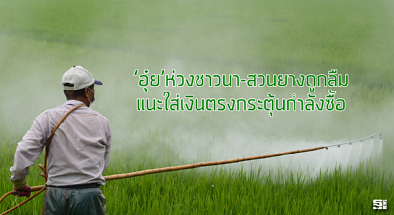 ‘อุ๋ย’ห่วงชาวนา-สวนยางถูกลืม แนะใส่เงินตรงกระตุ้นกำลังซื้อ ‘อุ๋ย’ห่วงชาวนา-สวนยางถูกลืม แนะใส่เงินตรงกระตุ้นกำลังซื้อ