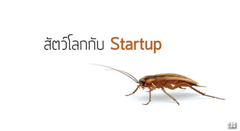 สัตว์โลกกับ Startup สัตว์โลกกับ Startup