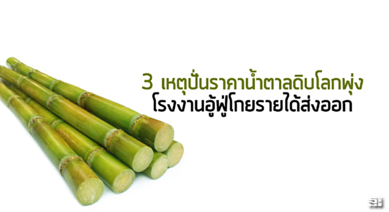 3 เหตุปั่นราคานํ้าตาลดิบโลกพุ่ง โรงงานอู้ฟู่โกยรายได้ส่งออก 3 เหตุปั่นราคานํ้าตาลดิบโลกพุ่ง โรงงานอู้ฟู่โกยรายได้ส่งออก