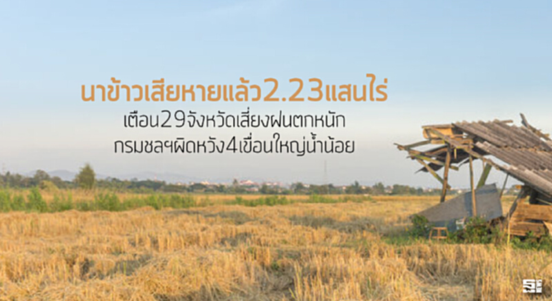 นาข้าวเสียหายแล้ว2.23แสนไร่ เตือน29จังหวัดเสี่ยงฝนตกหนัก/กรมชลฯผิดหวัง4เขื่อนใหญ่นํ้าน้อย นาข้าวเสียหายแล้ว2.23แสนไร่ เตือน29จังหวัดเสี่ยงฝนตกหนัก/กรมชลฯผิดหวัง4เขื่อนใหญ่นํ้าน้อย