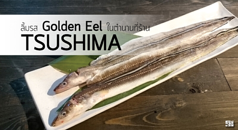 ลิ้มรส Golden Eel ในตำนานที่ร้าน TSUSHIMA ลิ้มรส Golden Eel ในตำนานที่ร้าน TSUSHIMA