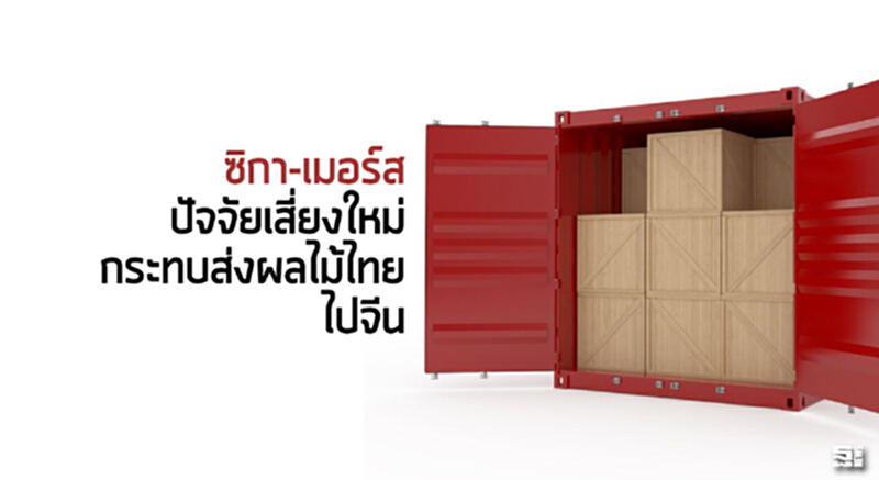 ซิกา-เมอร์สปัจจัยเสี่ยงใหม่ กระทบส่งผลไม้ไทยไปจีน ซิกา-เมอร์สปัจจัยเสี่ยงใหม่ กระทบส่งผลไม้ไทยไปจีน