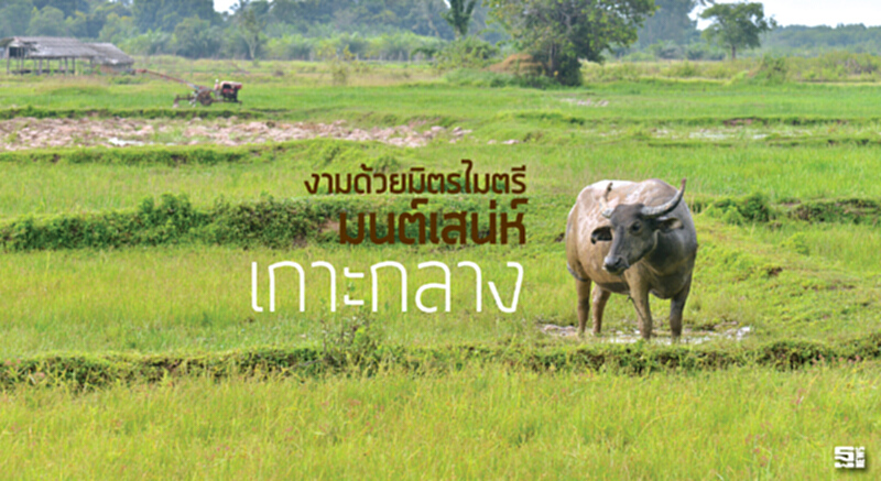 งามด้วยมิตรไมตรี มนต์เสน่ห์เกาะกลาง งามด้วยมิตรไมตรี มนต์เสน่ห์เกาะกลาง