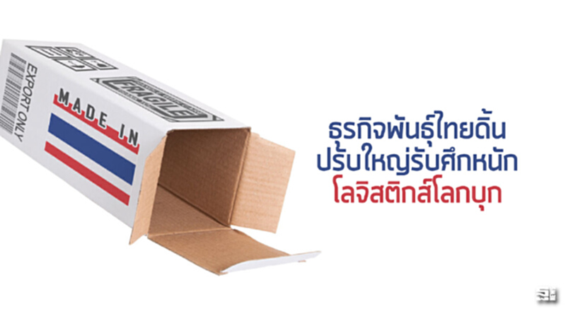 ธุรกิจพันธุ์ไทยดิ้นปรับใหญ่รับศึกหนักโลจิสติกส์โลกบุก ธุรกิจพันธุ์ไทยดิ้นปรับใหญ่รับศึกหนักโลจิสติกส์โลกบุก