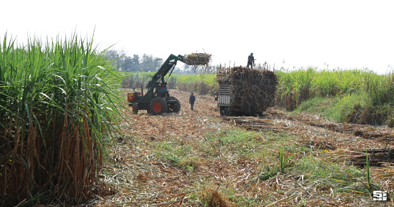 แก้พ.ร.บ.อ้อยฯเจอแรงต้าน สอน.ไม่สนเร่งสรุปก่อน 13 ก.ย.หวังบราซิลยุติการฟ้อง