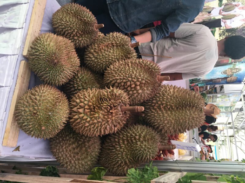 ผลไม้สหกรณ์จังหวัดระยองฮิตติดตลาดข้างทำเนียบ ผลไม้สหกรณ์จังหวัดระยองฮิตติดตลาดข้างทำเนียบ