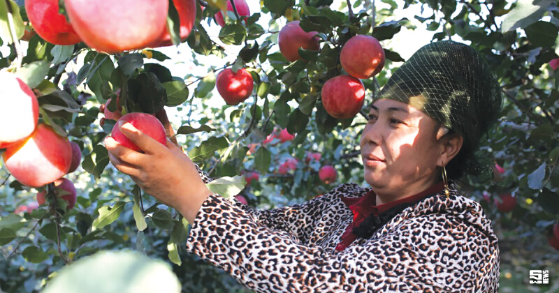 ศึกษาโอกาสสินค้าเกษตรไทยในจีน