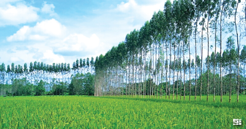 ปลุกกระแสรักษ์โลก-รักษ์สิ่งแวดล้อม ผุดแคมเปญ ' Double A…One Dream One Tree' ปลุกกระแสรักษ์โลก-รักษ์สิ่งแวดล้อม ผุดแคมเปญ ' Double A…One Dream One Tree'